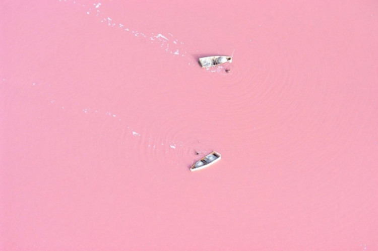 nature-hillier-boats