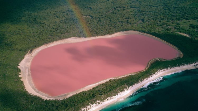 nature-hillier-rainbow