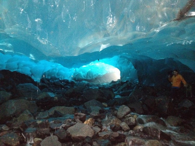 nature-mendenhall-entrance