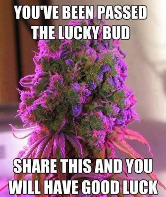 Weird Trick to Increase Good Luck by Doing This Now