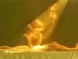 Scientist Photographs The Soul Leaving The Body