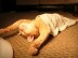 30 Cats Napping In Places That Don’t Even Seem Possible. #10 Does NOT Seem Safe
