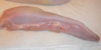 Woman Hospitalized To Remove Deer Tongue She Used To ‘Please’ Herself