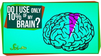 The 10 Percent Of Your Brain Myth