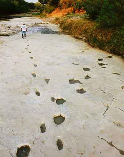 dinosaur-human-footprints