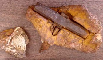 Everything We Have Been Taught About Our Origins Is A Lie