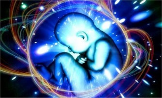 How To Exit The Reincarnation System