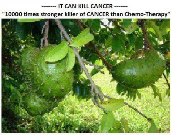 10000 times stronger killer of CANCER than Chemo!