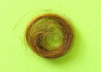 The FBI Faked an Entire Field of Forensic Science