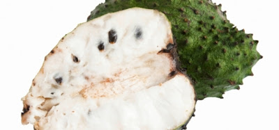 Sour Sop Fruit