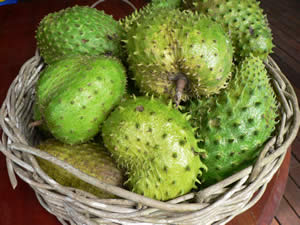 soursop basket