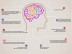 Myths and Truths about the Human Brain (Infographic)